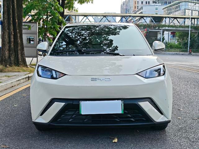 Byd Seagull Full ELECTRIC