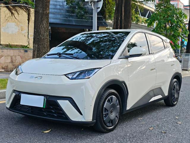 Byd Seagull Full ELECTRIC