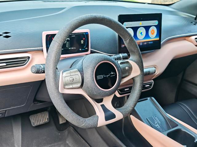 Byd Seagull Full ELECTRIC