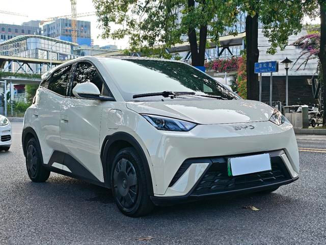 Byd Seagull Full ELECTRIC