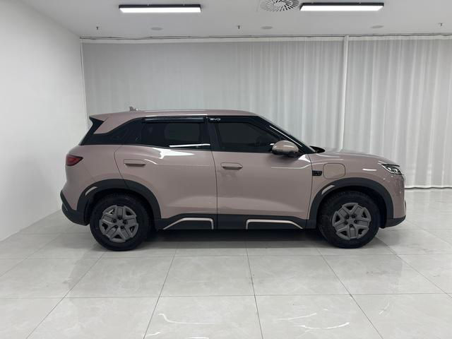 Byd Yuan Up