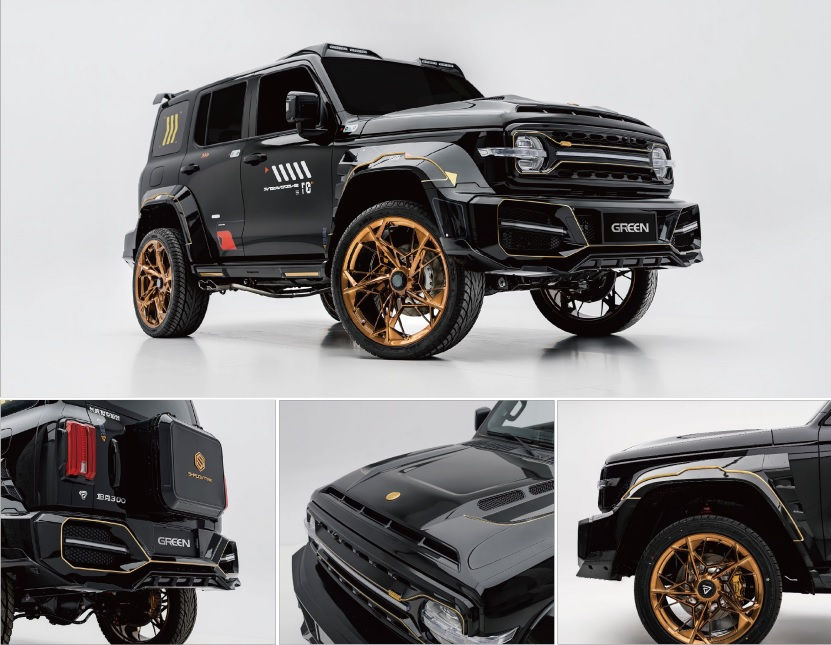 Accesorii pentru - Tank 300