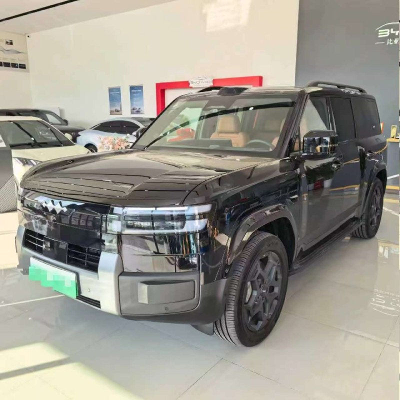 Byd Leopard 7