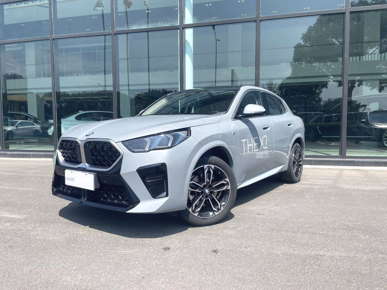 BMW X2