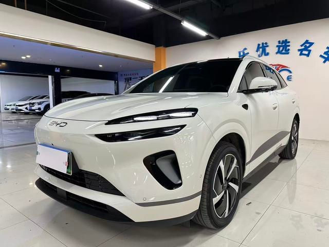Byd Sealion 06