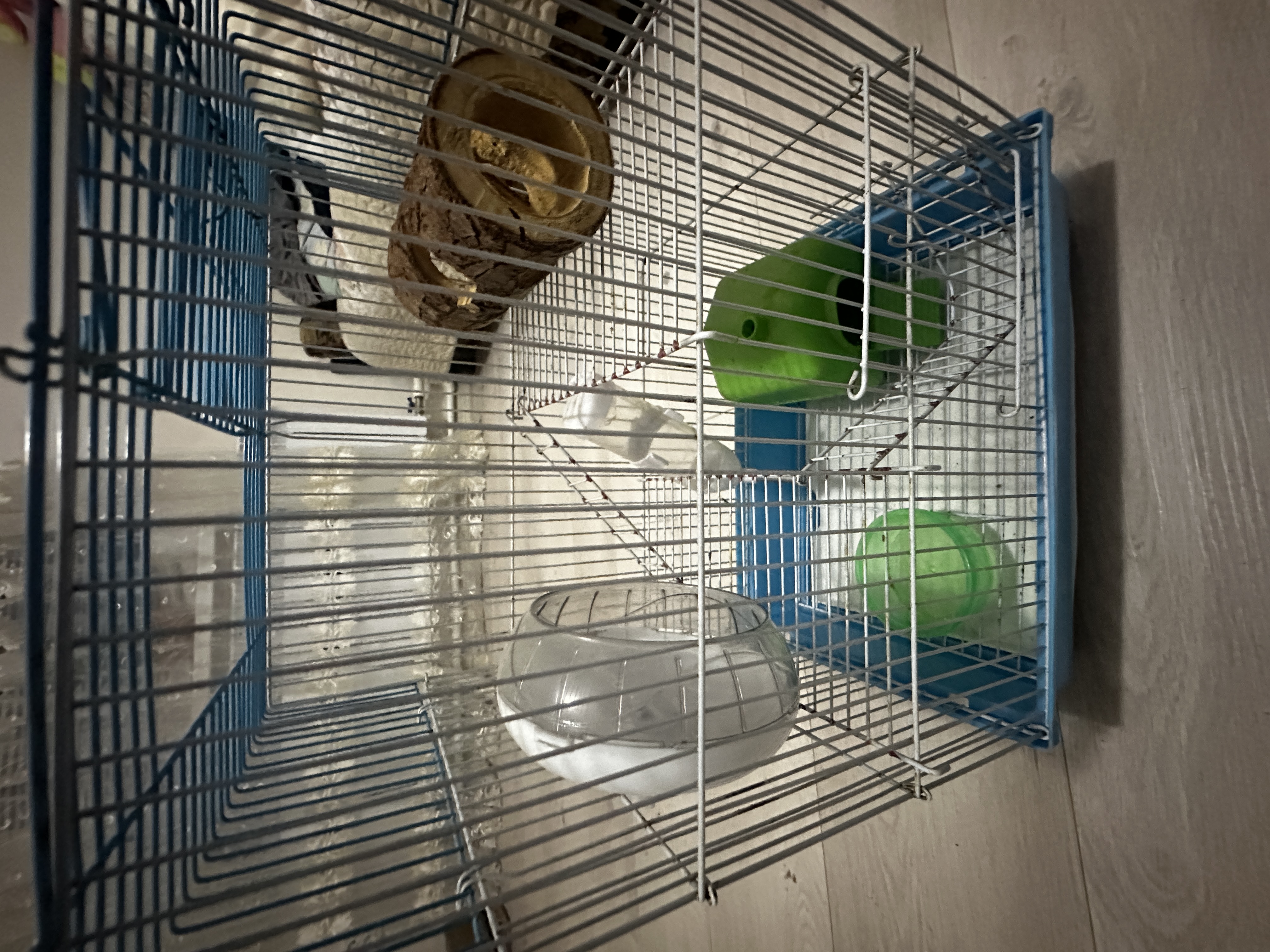 Căsuța pentru hamsteri